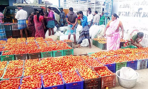 பாலக்கோடு மார்கெட்டில் விற்பனைக்கு வைக்கப்பட்டுள்ள தக்காளி பெட்டிகளை படத்தில் காணலாம்.