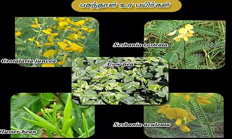 கோப்புபடம். 