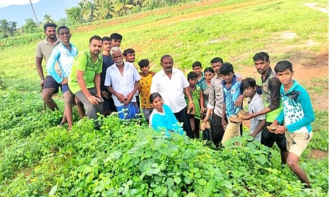 வெங்கடாம்பட்டி குளக்கரையில் 1,500 பனை விதைகள் விதைப்பு