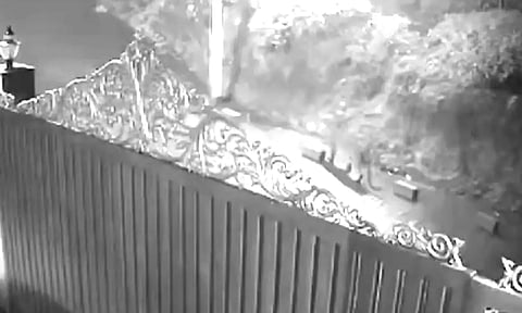 கோத்தகிரியில் குடியிருப்பு பகுதிக்குள் சுற்றி திரிந்த சிறுத்தை