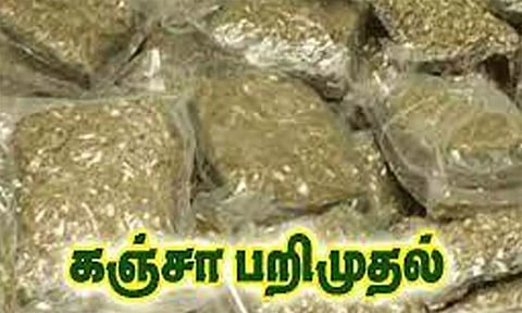 கஞ்சா விற்ற வாலிபர் கைது