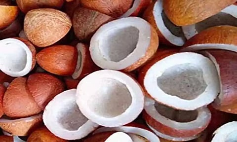 கோப்புபடம். 