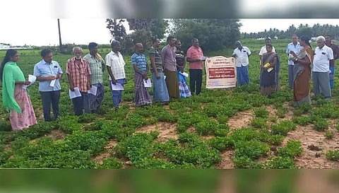 விழிப்புணர்வு முகாம் நடைபெற்ற போது எடுத்த படம்.