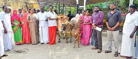 கறவை மாடுகள் வழங்கப்பட்ட போது எடுத்தப்படம்.