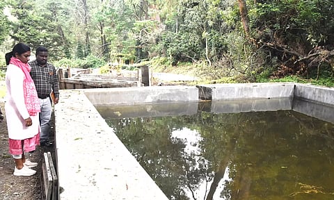 அவலாஞ்சியில் ரூ.2.50 கோடியில் நவீனமயமாகும் மீன் பண்ணை- கலெக்டர் அருணா நேரில் ஆய்வு