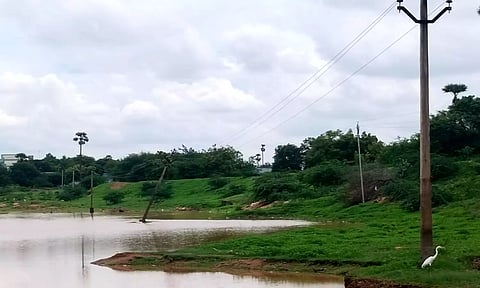 குளத்தின் நடுவே சரிந்து விழும் நிலையில் உள்ள மின்கம்பம்.