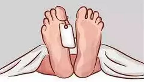 சரக்கு வாகனம் கவிழ்ந்து பெண் பலி