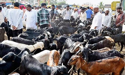 தீபாவளி முன்னிட்டு சிறப்பு ஆட்டுச் சந்தை