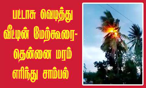 பட்டாசு வெடித்து வீட்டின் மேற்கூரை-தென்னை மரம் எரிந்து சாம்பல்