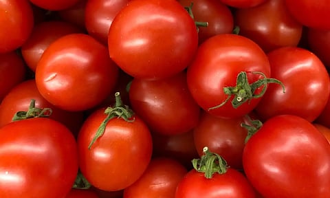 கோப்புபடம். 