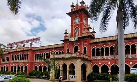 வேளாண் பல்கலைக்கழகத்தில் ஆராய்ச்சி பணிக்கு ஆட்கள் தேர்வு