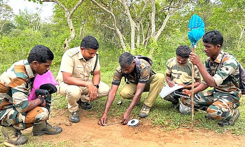 முதுமலை வனப்பகுதியில் பருவமழைக்கு பிந்தைய வனவிலங்குகள் கணக்கெடுப்பு பணி இன்று தொடங்கியது