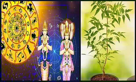 குழந்தை பாக்கியம் பெற சர்ப்ப சாந்தி