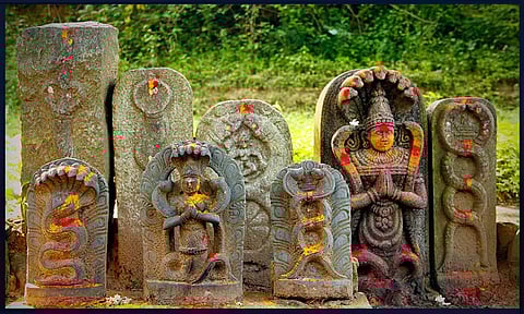 புத்திர பாக்கியம் அருளும் நாக பஞ்சமி விரதம்