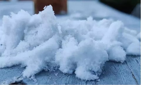 நீலகிரியில் கண்ணாமூச்சி காட்டும் உறைபனி சீசன்