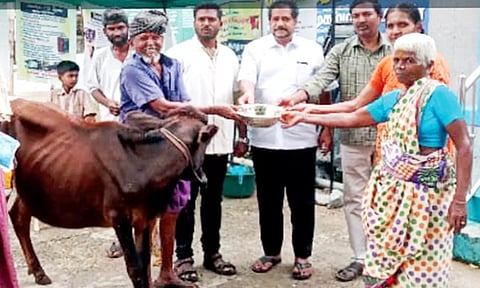 ரவணசமுத்திரம் ஊராட்சியில் கால்நடை மருத்துவ முகாம்