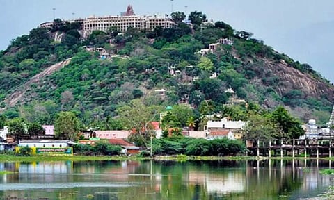 பழனி மலைக்கோவில் (கோப்பு படம்)