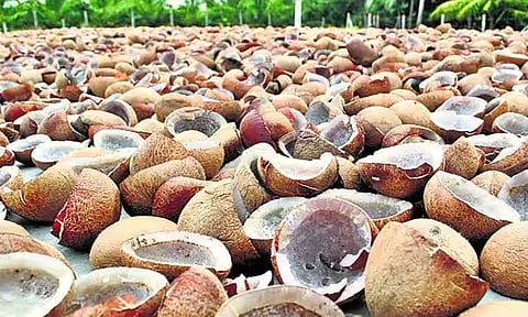 பெருந்துறையில் ரூ.1.57 கோடிக்கு கொப்பரை ஏலம்