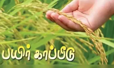 ரிஷிவந்தியம் வட்டார விவசாயிகள் பயிர் காப்பீடு செய்து கொள்ள வேண்டும் வேளாண் உதவி இயக்குனர் வேண்டுகோள்