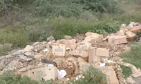 ரோட்டடோரங்ளில் அழுகிய நிலையில் கொட்டப்படும் முட்டைகள்.