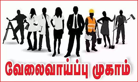தனியார் துறை வேலை வாய்ப்பு முகாம்