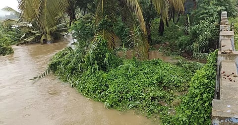செங்கோட்டையில் விளை நிலங்களுக்குள் புகுந்த மழைநீர்