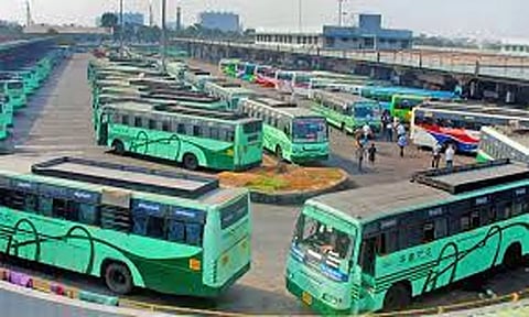 திருவண்ணாமலை செல்ல வசதியாக 695 அரசு சிறப்பு பஸ்கள் இயக்கம்