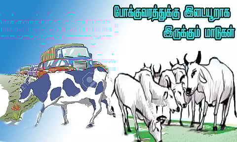 சாலையில் சுற்றி திரியும் மாடுகளால் பொதுமக்கள் அவதி