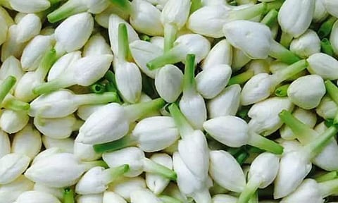 கார்த்திகை தீப திருநாளையொட்டி மதுரையில் பூக்கள் விலை கிடுகிடு உயர்வு