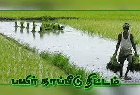 முந்திரி பயிர்களுக்கு காப்பீடுதிட்டம் செயல்படுத்த வலியுறுத்தல்