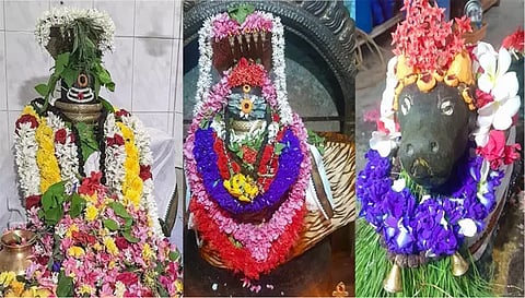 பரமத்திவேலூர் ஏகாம்பரேஸ்வரர், கோப்பணம்பாளையம் பரமேஸ்வரர், நந்தி பெருமான் சிறப்பு அலங்காரத்தில் இருந்த போது எடுத்த படம்.