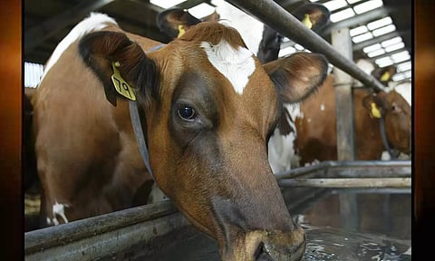 கோப்புபடம். 