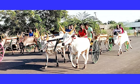 மாட்டு வண்டி பந்தயத்தில் சீறிப்பாய்ந்து சென்ற மாடுகள்.