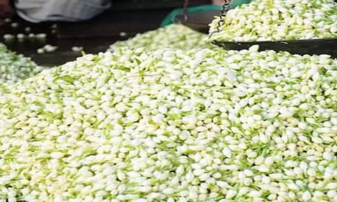 நெல்லையில் இன்று மல்லிகை பூ கிலோ ரூ.1,500-க்கு விற்பனை