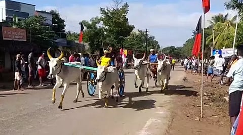 கருங்குழிகாடு கிராமத்தில் மாட்டு வண்டி எல்கை பந்தயம் - கார்த்திகை தீபத்தை முன்னிட்டு நடைபெற்றது