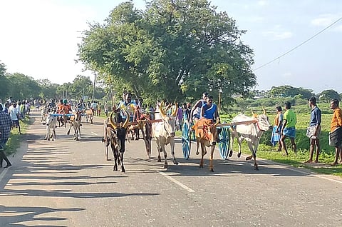 விளாத்திகுளம் அருகே மாட்டுவண்டி பந்தயத்தில் சீறிப்பாய்ந்த 57 ஜோடி மாடுகள்