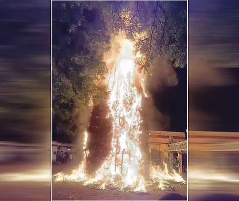 உடன்குடி செட்டியாபத்தில் 50 அடி உயர முழு பனை மரத்தில் சொக்கப்பனை கொளுத்தும் நிகழ்ச்சி