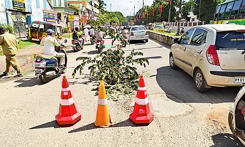 கடலூர் நெல்லிக்குப்பம் சாலையில் ஏற்பட்ட பெரிய பள்ளத்தில் மரக்கிளைகள் வைக்கப்பட்டுள்ளதை படத்தில் காணலாம்.