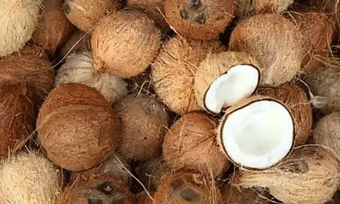 வெப்பிலி ஒழுங்குமுறை விற்பனை கூடத்தில் தேங்காய் ஏலம்