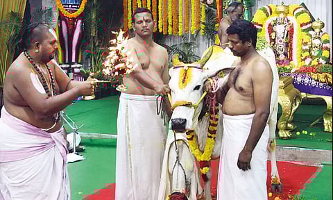 திருமலை வசந்த மண்டபத்தில் கோபூஜை