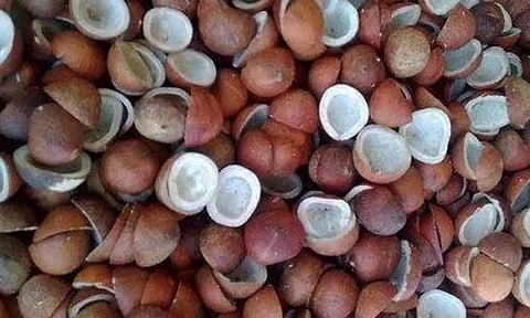 பெருந்துறையில் ரூ.1.26 கோடிக்கு கொப்பரை ஏலம்