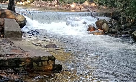 களக்காடு தலையணையில் நீர்வரத்து குறைவாக இருப்பதை காணலாம்.