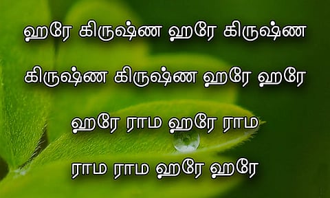 ஹரே கிருஷ்ண ஹரே கிருஷ்ண மஹா மந்திரம்