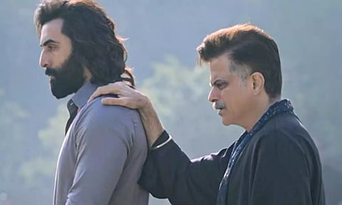 அனிமல் - எதிர்மறை விமர்சனங்களை தாண்டி எகிறும் வசூல்