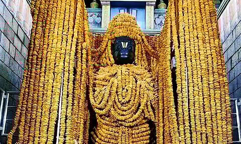 வடைமாலை நேர்த்திக் கடன்