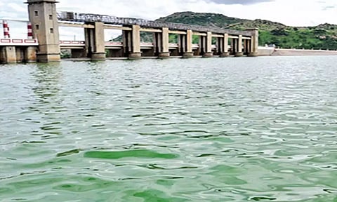 தென்பெண்ணை-சங்கராபரணி ஆறுகளை இணைக்க வேண்டும்- அமைச்சர் வலியுறுத்தல்