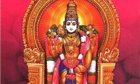 சிறுவாபுரி வள்ளி மணவாளப் பெருமான்