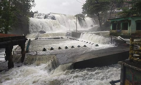 திற்பரப்பு அருவியில் தண்ணீர் ஆர்ப்பரித்து கொட்டுவதை படத்தில் காணலாம்.