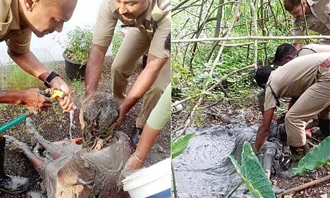 சகதியில் சிக்கி பல மணி நேரம் தவித்த மூதாட்டியை மீட்ட தீயணைப்பு வீரர்கள்