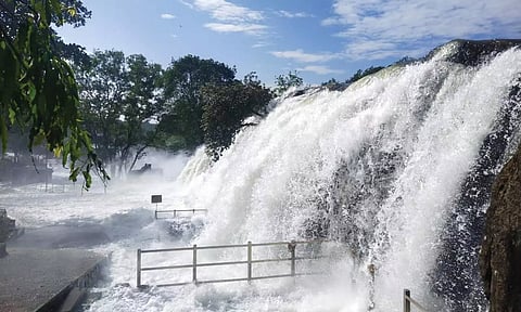திற்பரப்பு அருவியில் தண்ணீர் ஆர்ப்பரித்து கொட்டுவதை காணலாம்.